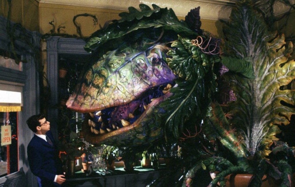 A huge Venus Flytrap, the size of a small shop, towers menancingly over cutie pie nerd Rick Moranis.